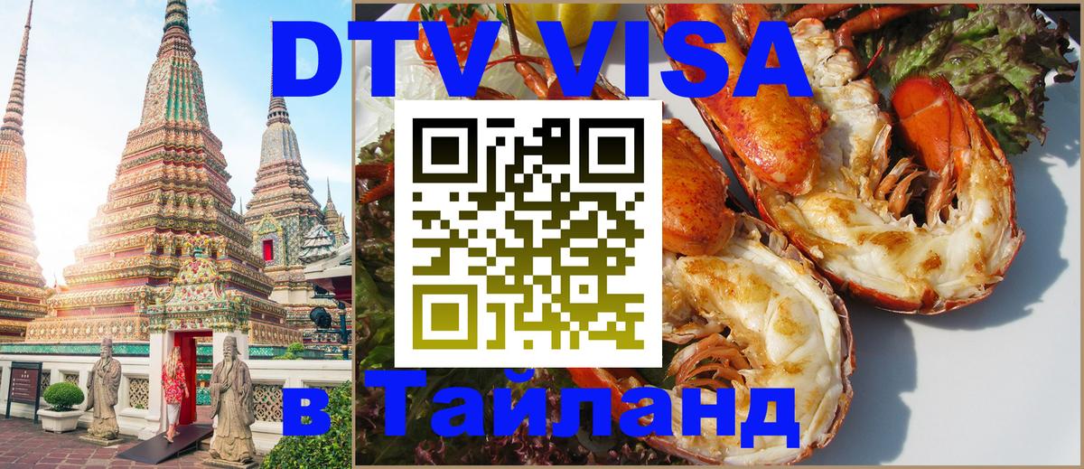 Сколько стоит DTV виза — актуальные цены, оформление даже без документов - Кишинёв 